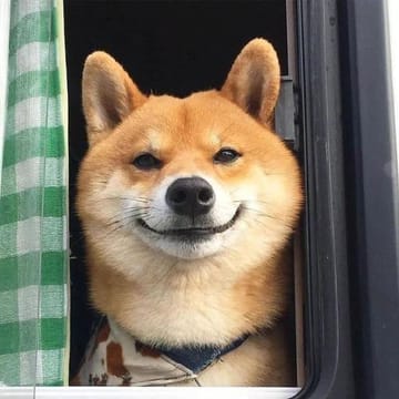 Cliente